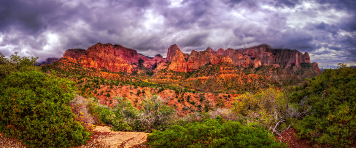 AdobeStock 235923686