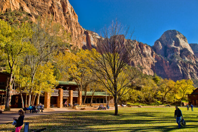 ZionLodgeFall JoeNewman