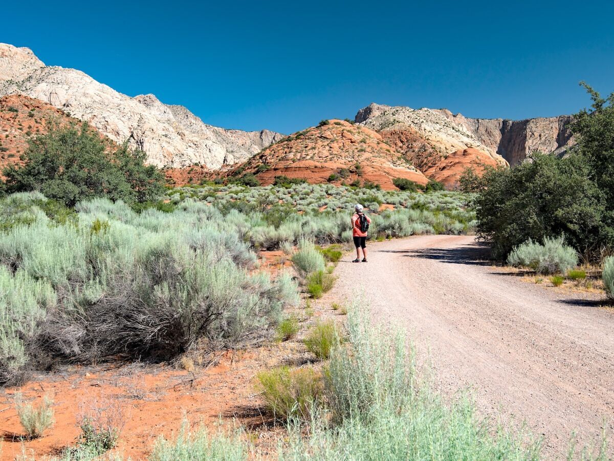 Zion and Beyond: Where to Play, Eat, and Stay in Southern Utah