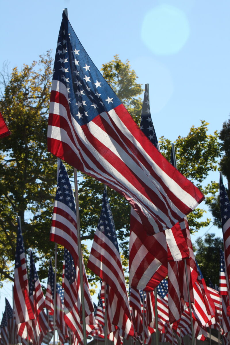 veterans day parade 022 (1)